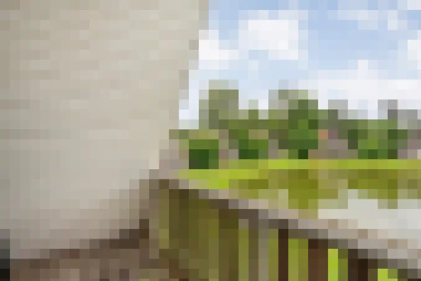 Boslaan 1 R151 Gramsbergen thumbnail 29
