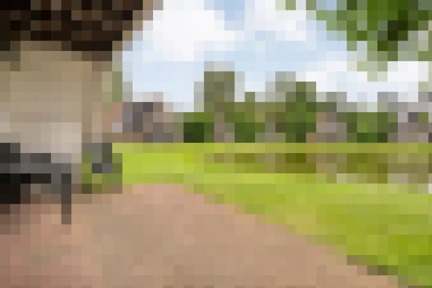 Boslaan 1 R151 Gramsbergen thumbnail 32
