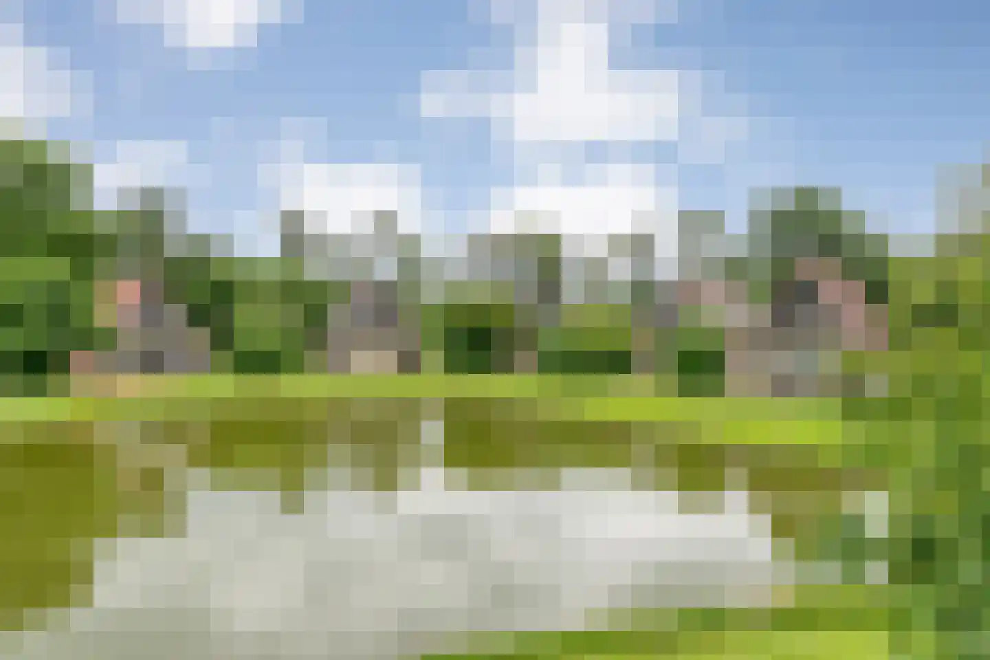 Boslaan 1 R151 Gramsbergen thumbnail 33
