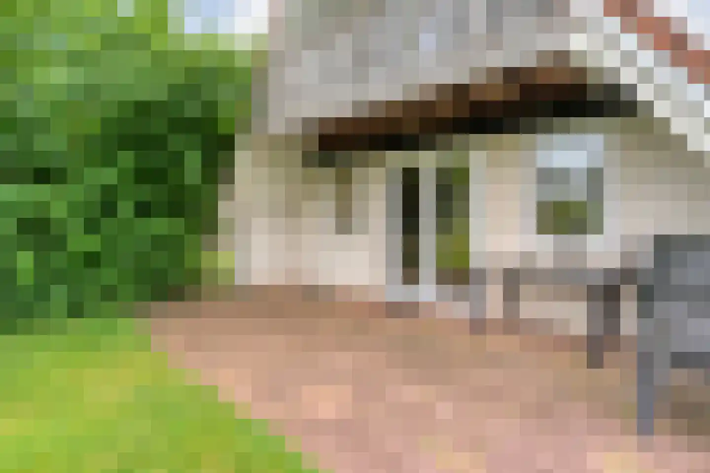 Boslaan 1 R151 Gramsbergen thumbnail 34
