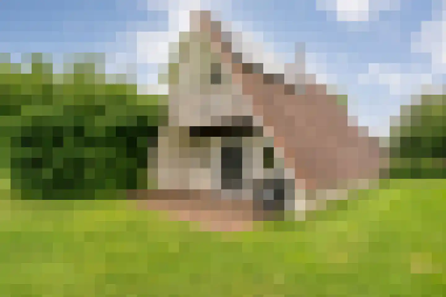 Boslaan 1 R151 Gramsbergen thumbnail 35
