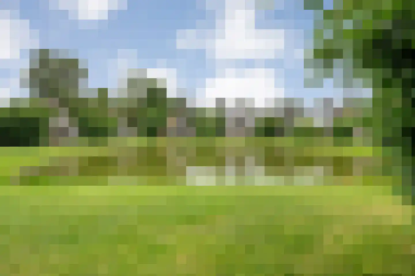 Boslaan 1 R151 Gramsbergen thumbnail 4