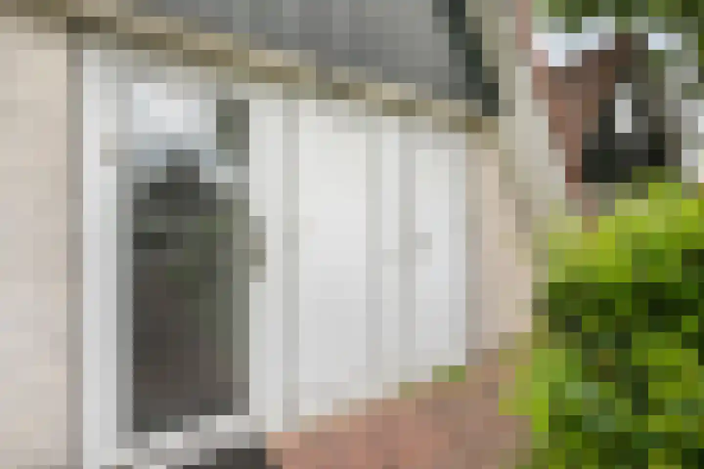 Boslaan 1 R151 Gramsbergen thumbnail 6