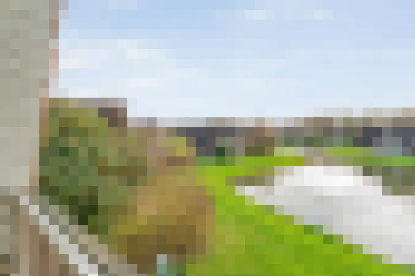 Boslaan 1 R157 Gramsbergen thumbnail 30