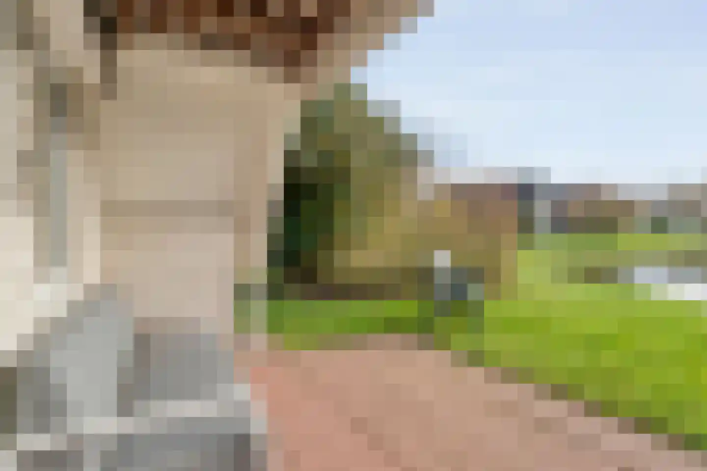 Boslaan 1 R157 Gramsbergen thumbnail 32