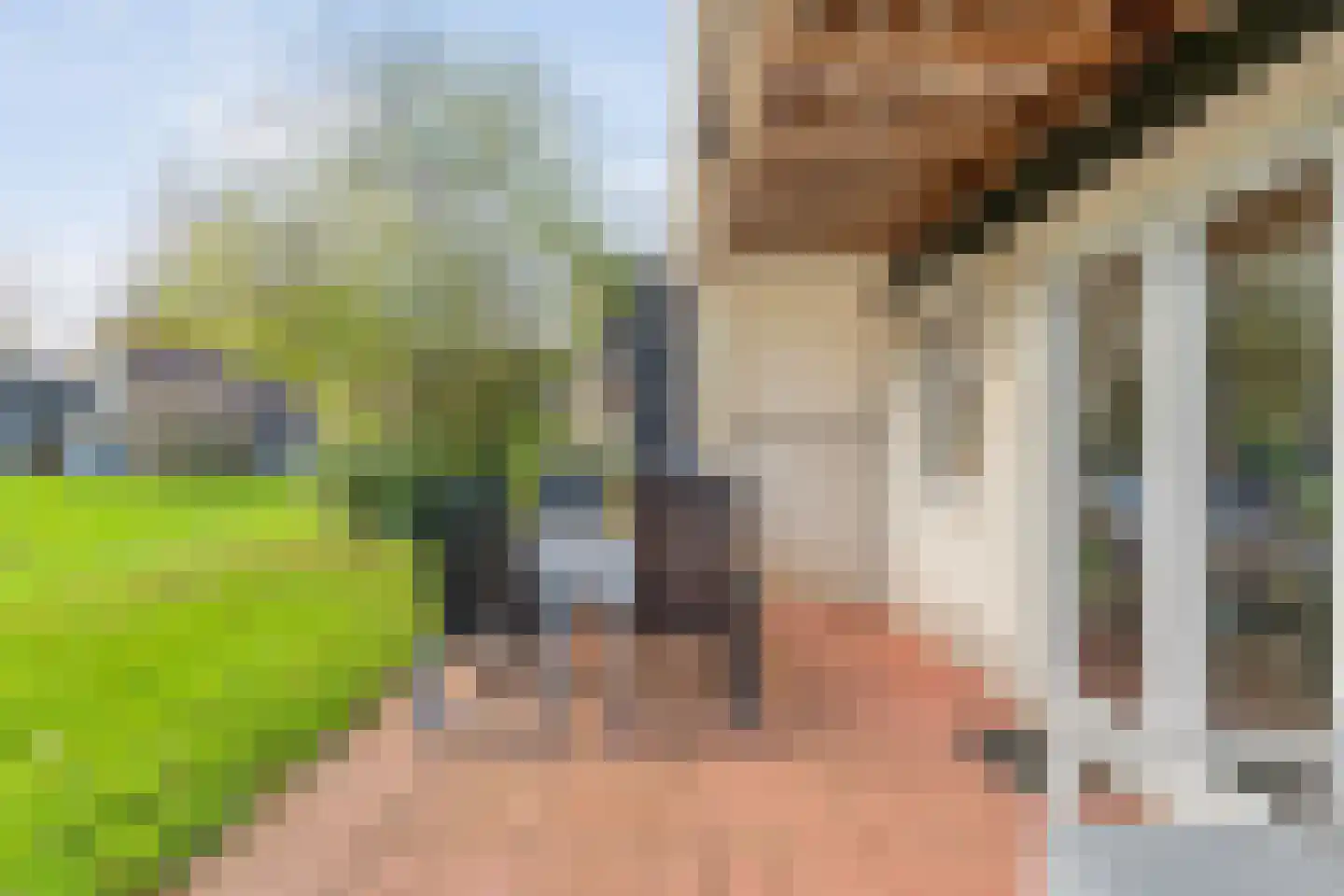 Boslaan 1 R157 Gramsbergen thumbnail 33