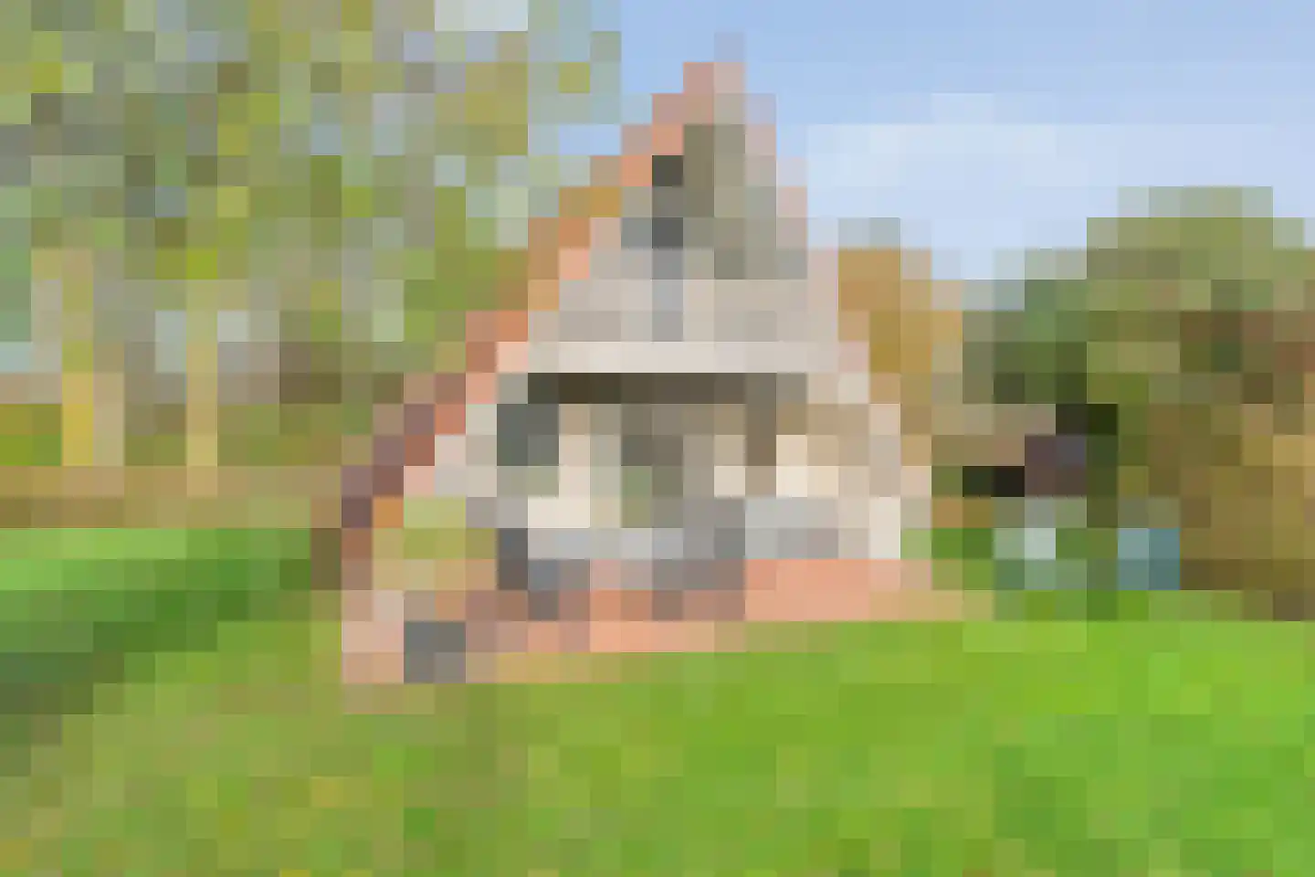 Boslaan 1 R157 Gramsbergen thumbnail 34