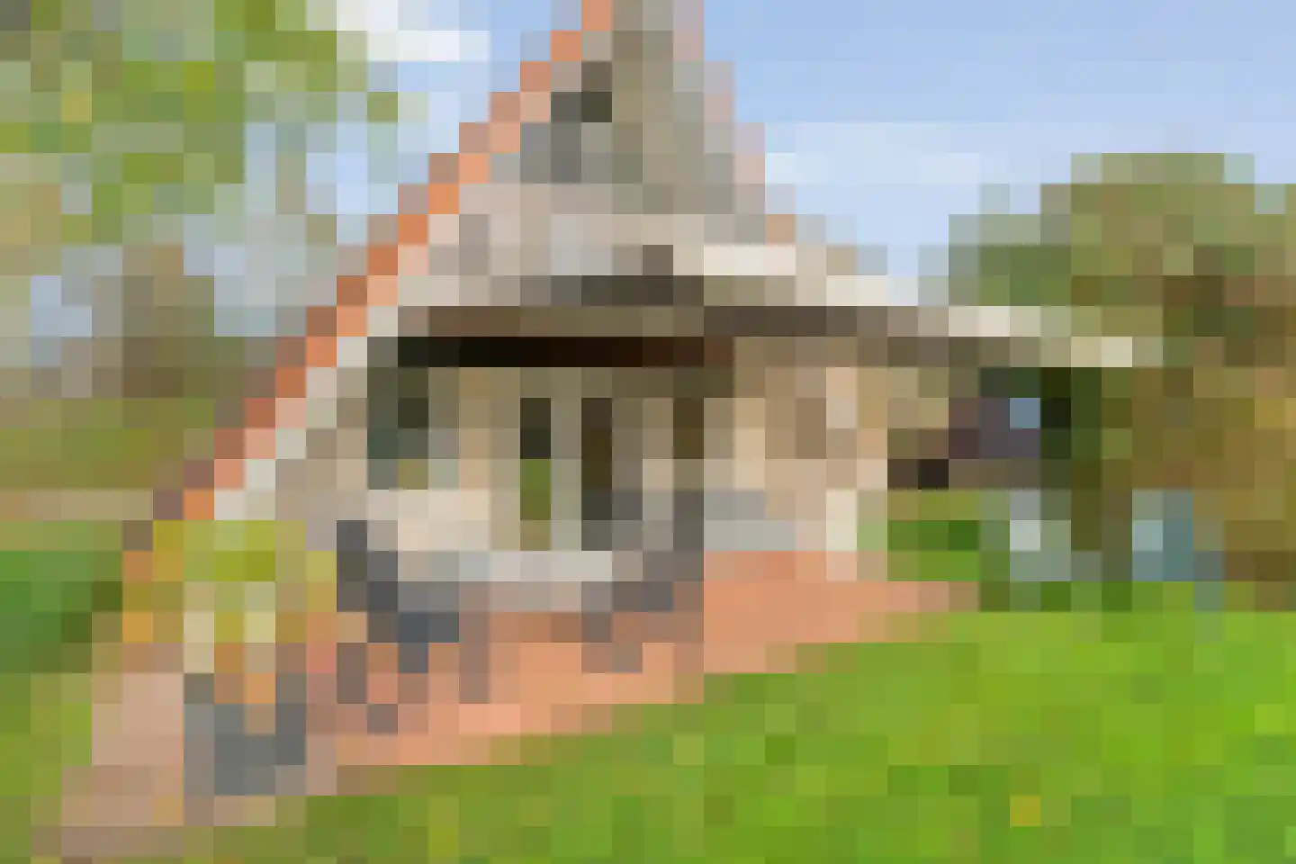 Boslaan 1 R157 Gramsbergen thumbnail 36