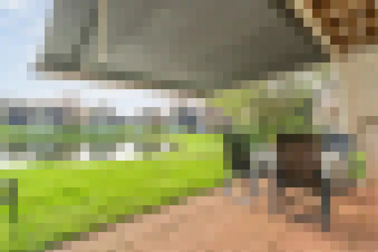 Boslaan 1 R157 Gramsbergen thumbnail 37