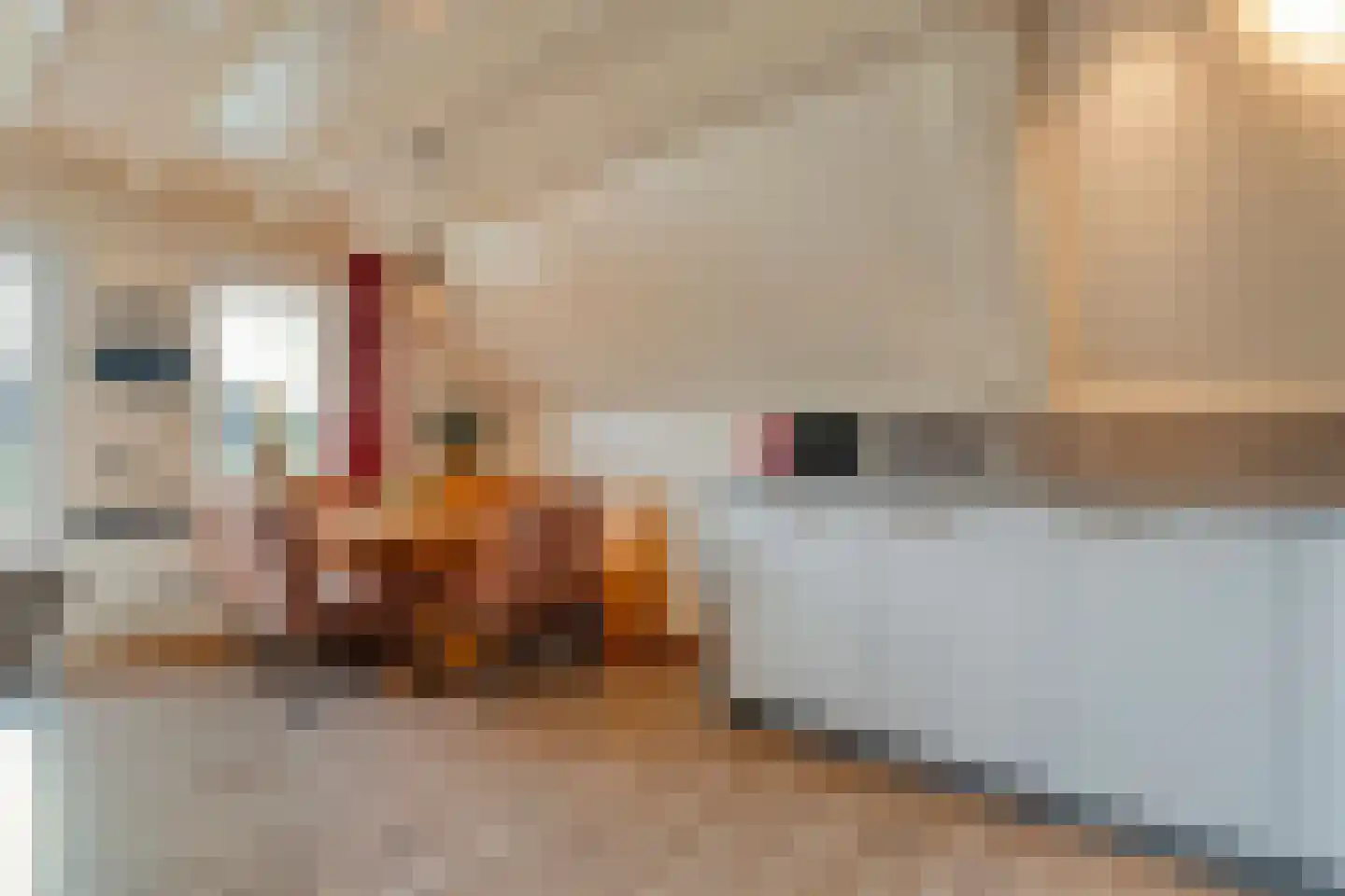Boslaan 1 R157 Gramsbergen thumbnail 8