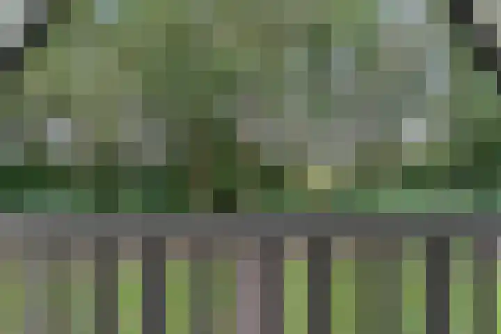 Boslaan 1 R16 Gramsbergen thumbnail 19