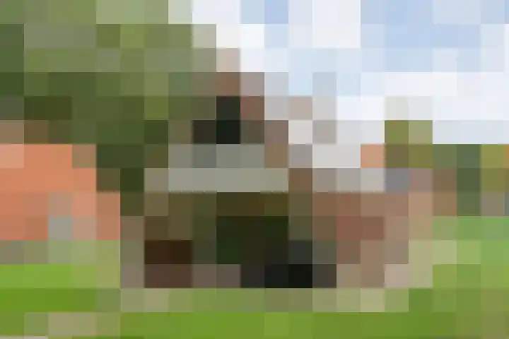 Boslaan 1 R16 Gramsbergen thumbnail 20