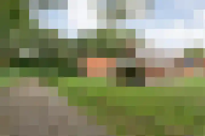 Boslaan 1 R16 Gramsbergen thumbnail 21