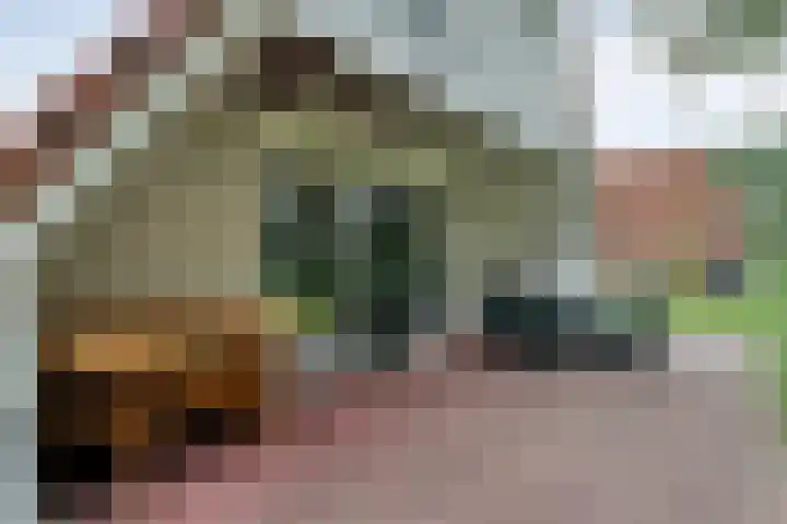Boslaan 1 R16 Gramsbergen thumbnail 22