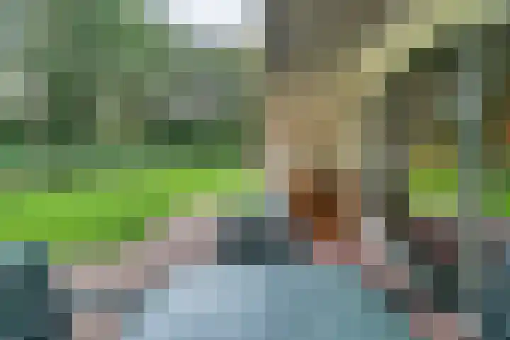 Boslaan 1 R16 Gramsbergen thumbnail 23