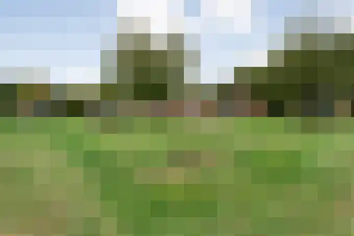 Boslaan 1 R16 Gramsbergen thumbnail 24