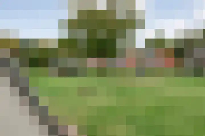 Boslaan 1 R16 Gramsbergen thumbnail 25