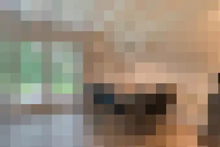 Boslaan 1 R16 Gramsbergen thumbnail 5
