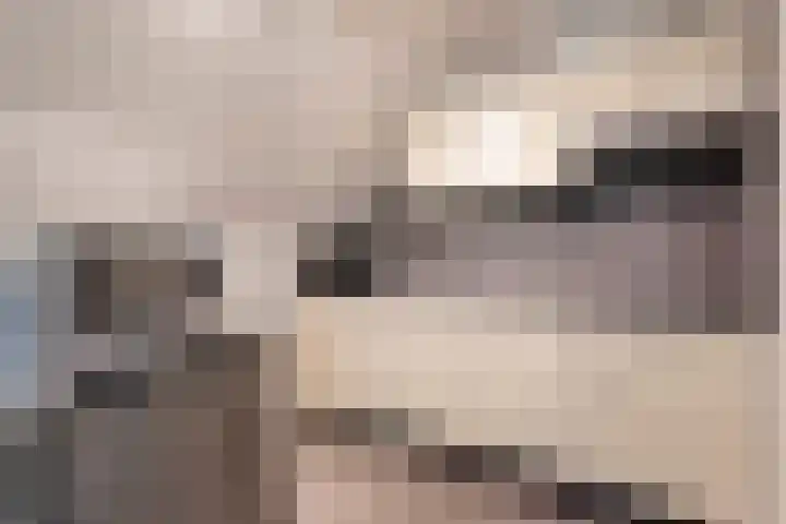 Boslaan 1 R16 Gramsbergen thumbnail 7