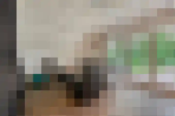 Boslaan 1 R16 Gramsbergen thumbnail 8