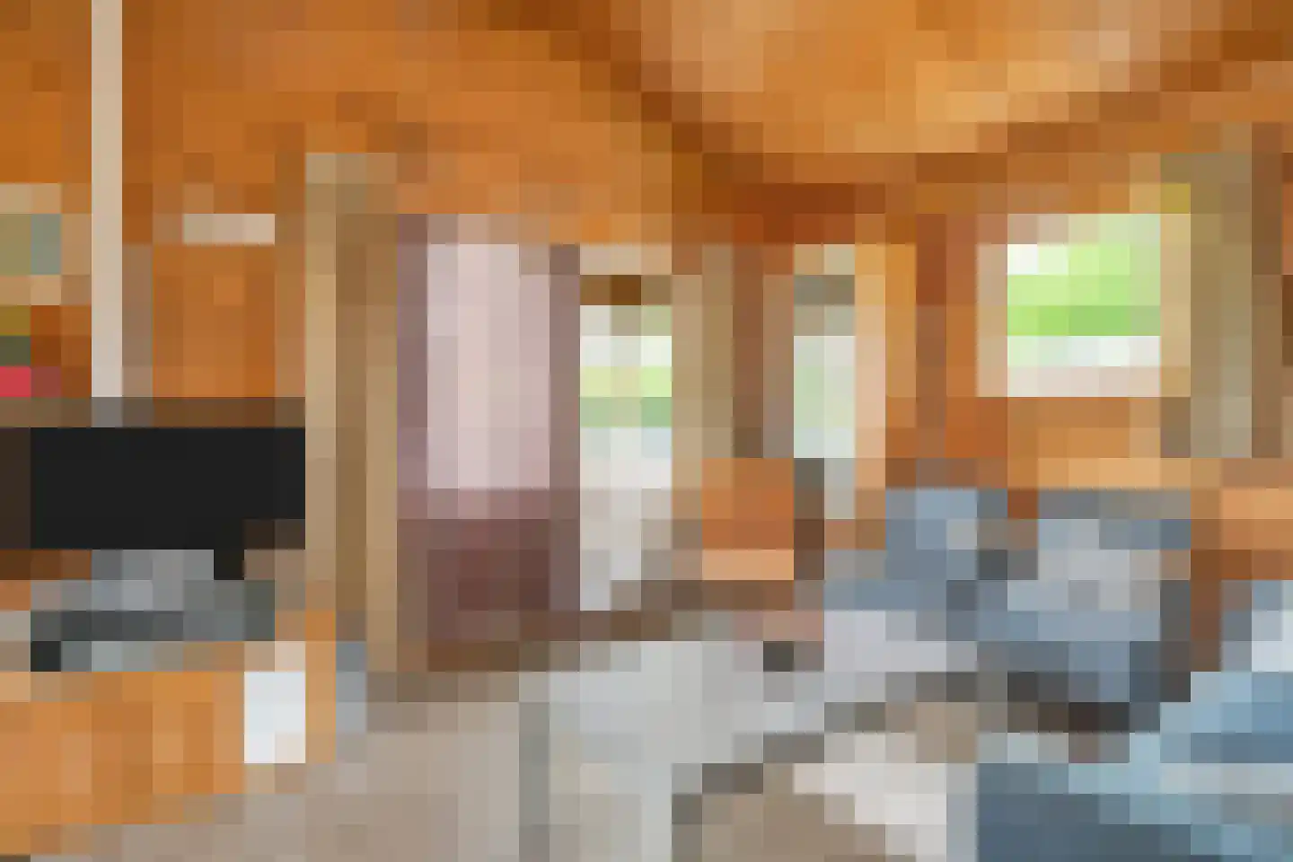 Boslaan 1 R169 Gramsbergen thumbnail 10