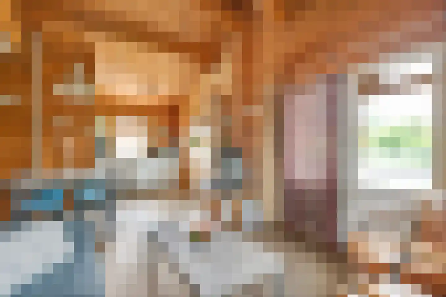 Boslaan 1 R169 Gramsbergen thumbnail 12