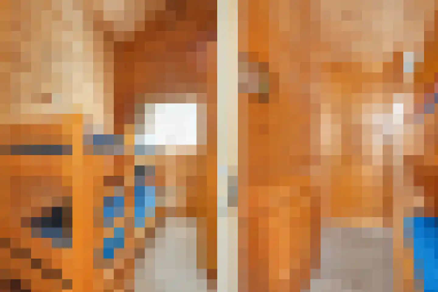 Boslaan 1 R169 Gramsbergen thumbnail 19