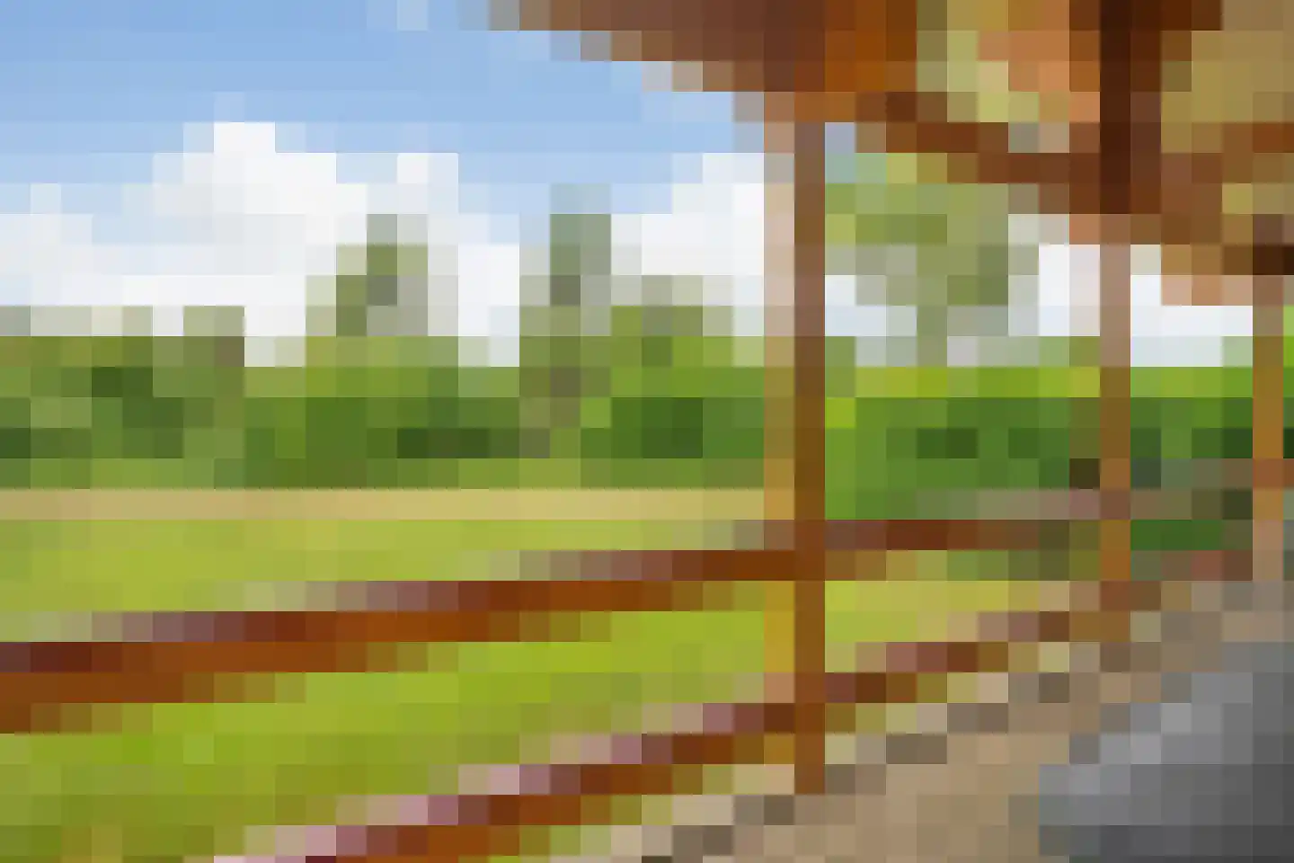 Boslaan 1 R169 Gramsbergen thumbnail 6
