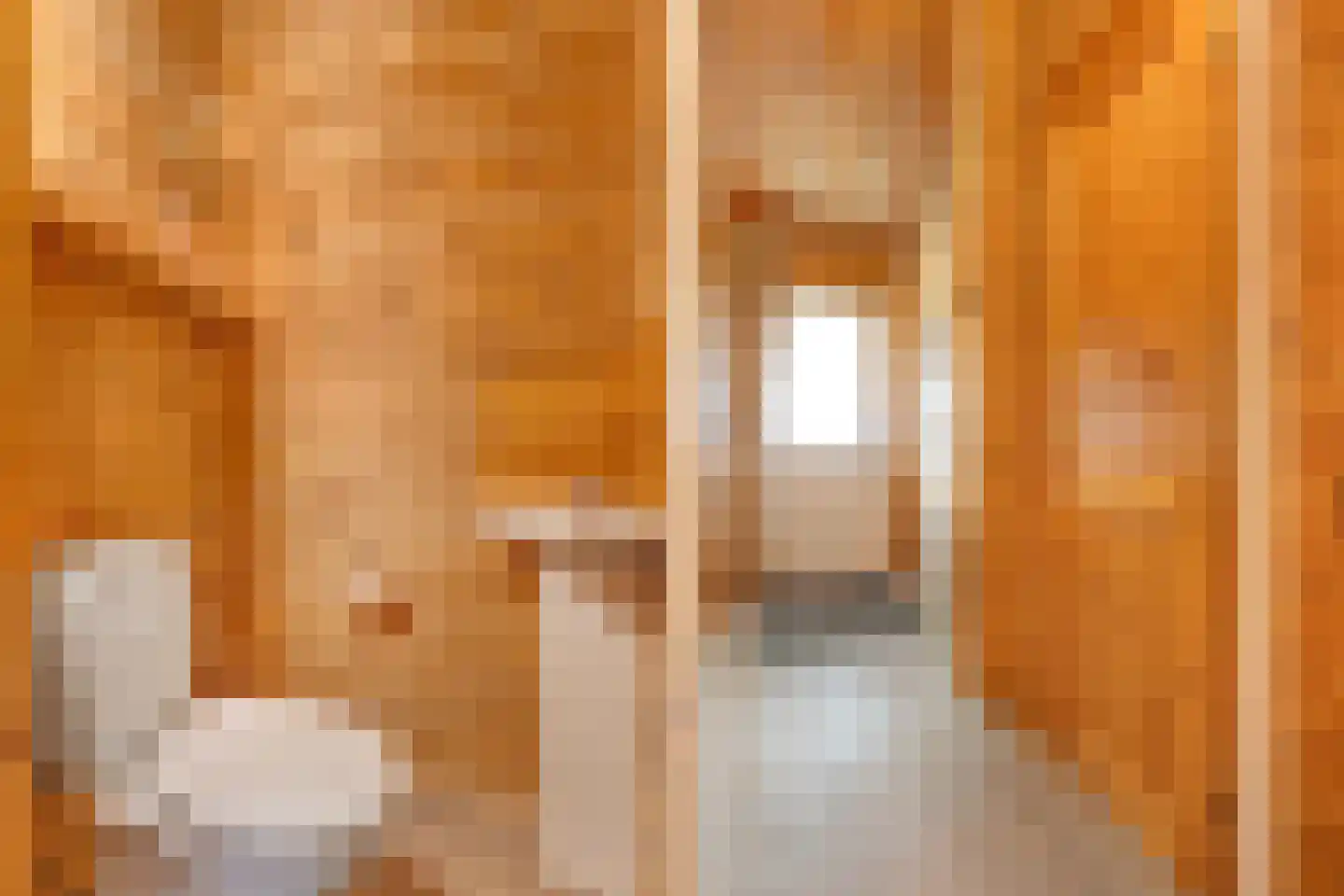 Boslaan 1 R169 Gramsbergen thumbnail 7