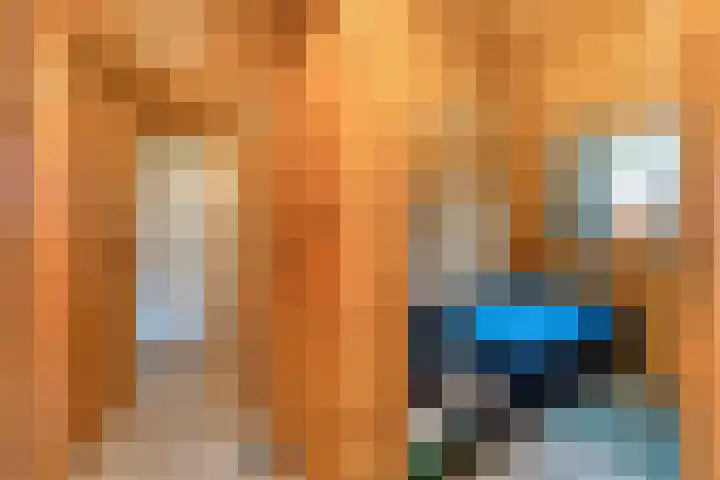 Boslaan 1 R172 Gramsbergen thumbnail 11