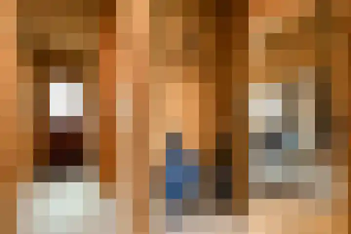 Boslaan 1 R172 Gramsbergen thumbnail 13