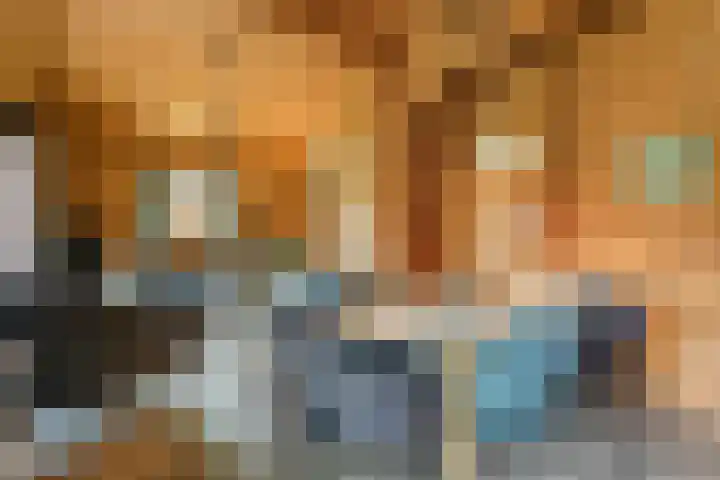 Boslaan 1 R172 Gramsbergen thumbnail 16
