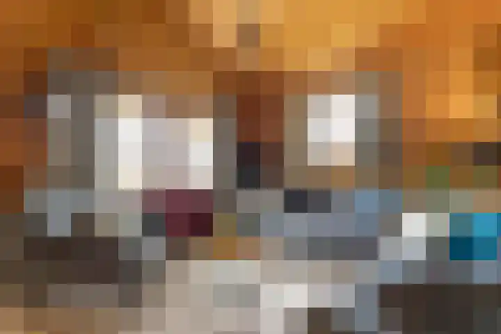 Boslaan 1 R172 Gramsbergen thumbnail 17