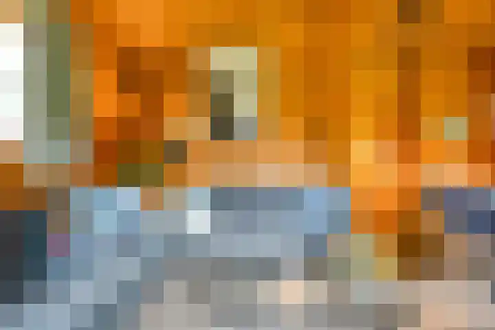 Boslaan 1 R172 Gramsbergen thumbnail 18