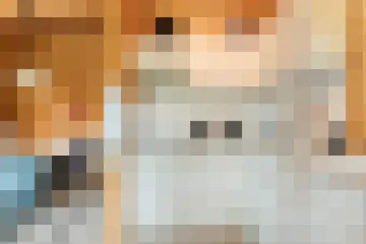 Boslaan 1 R172 Gramsbergen thumbnail 21