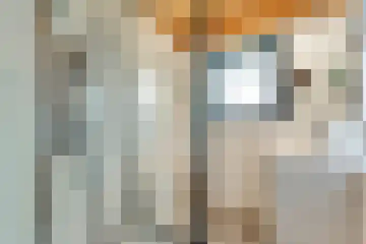Boslaan 1 R172 Gramsbergen thumbnail 23