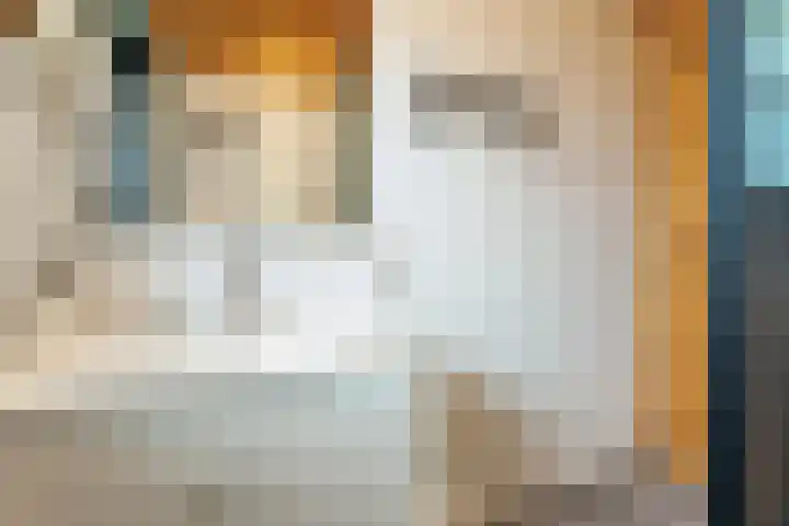 Boslaan 1 R172 Gramsbergen thumbnail 24