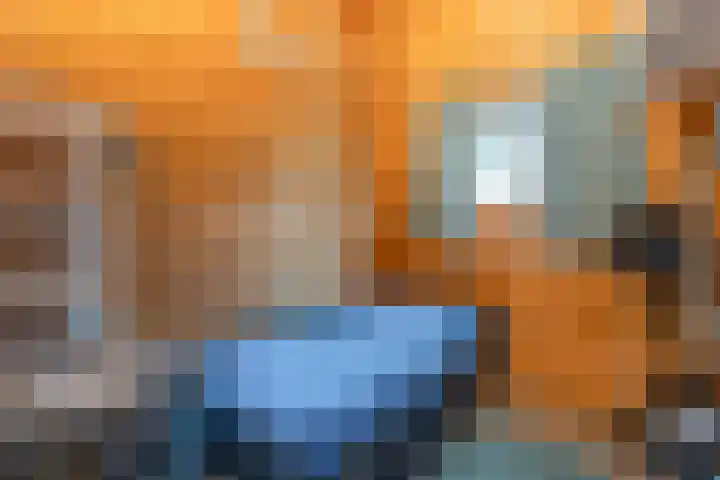 Boslaan 1 R172 Gramsbergen thumbnail 27
