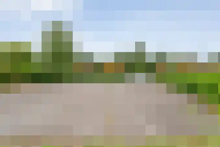 Boslaan 1 R172 Gramsbergen thumbnail 5