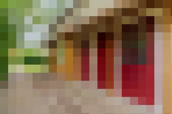 Boslaan 1 R172 Gramsbergen thumbnail 7