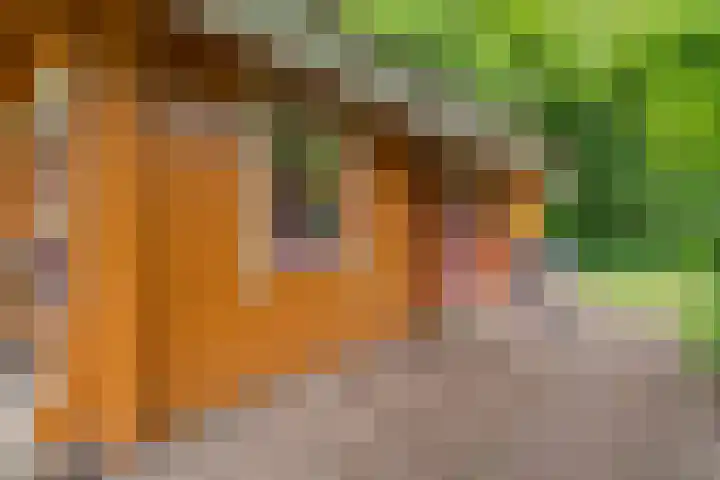 Boslaan 1 R172 Gramsbergen thumbnail 8
