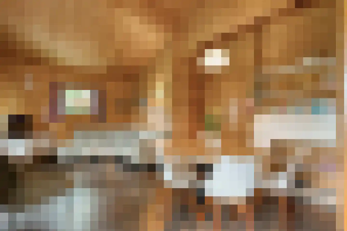 Boslaan 1 R174 Gramsbergen thumbnail 10