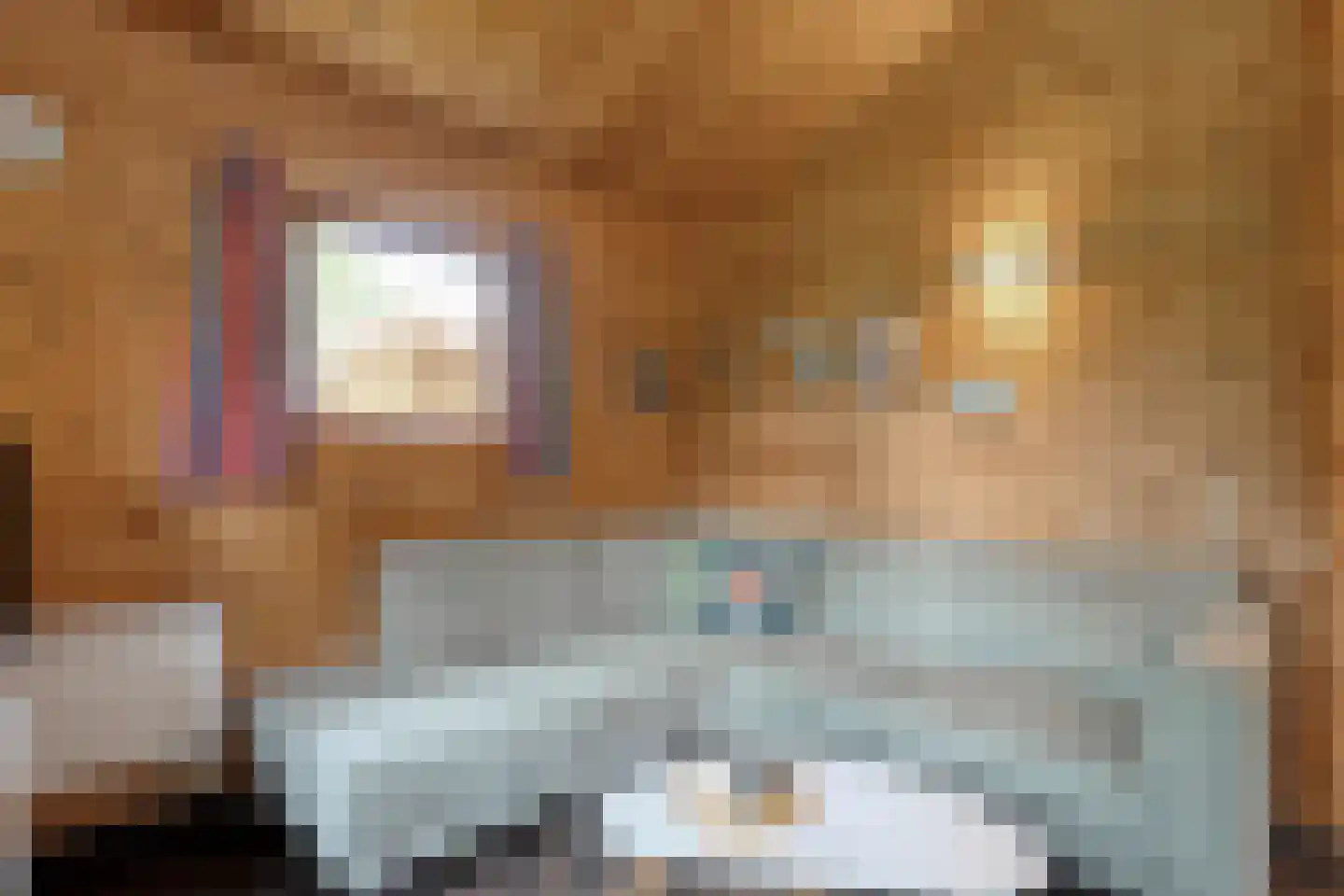 Boslaan 1 R174 Gramsbergen thumbnail 11
