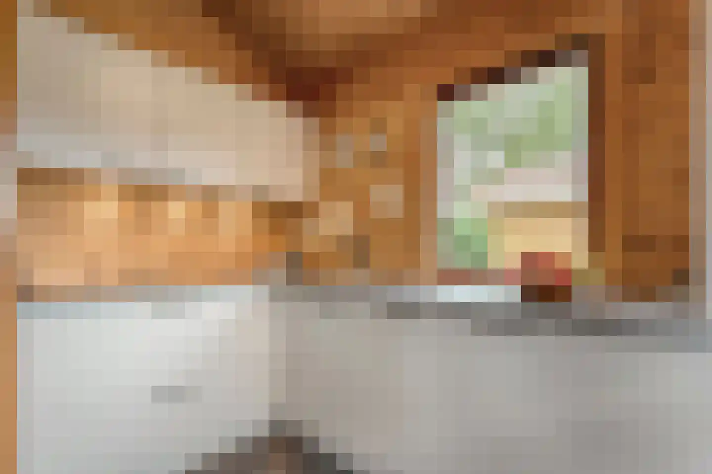 Boslaan 1 R174 Gramsbergen thumbnail 15