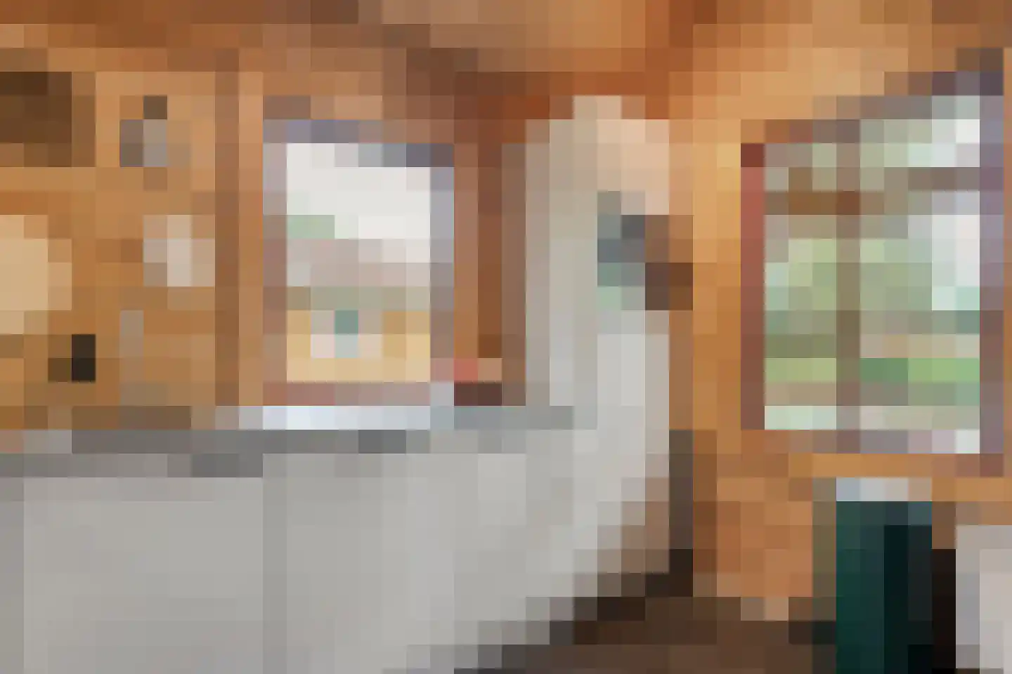 Boslaan 1 R174 Gramsbergen thumbnail 17
