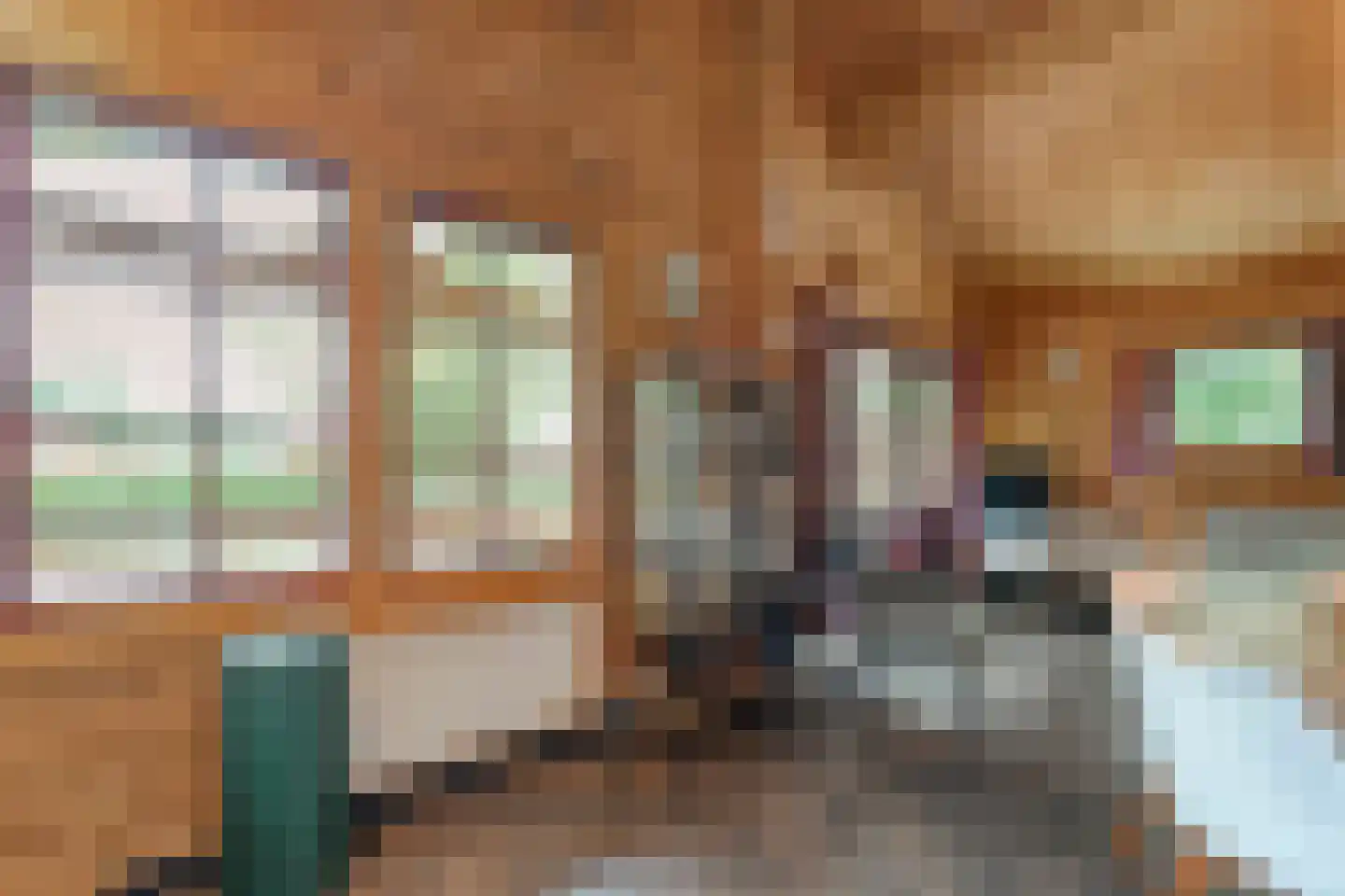 Boslaan 1 R174 Gramsbergen thumbnail 18
