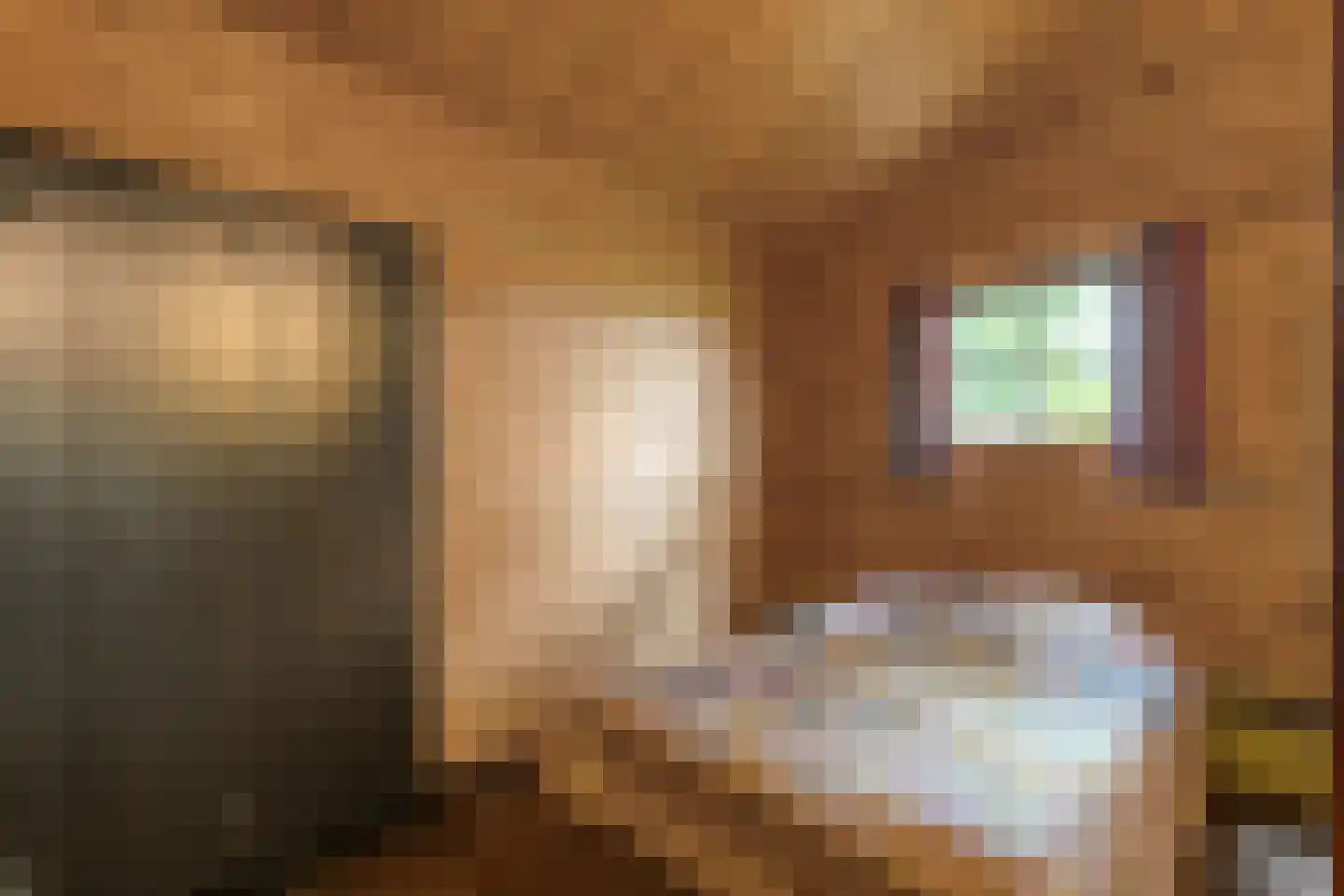 Boslaan 1 R174 Gramsbergen thumbnail 23