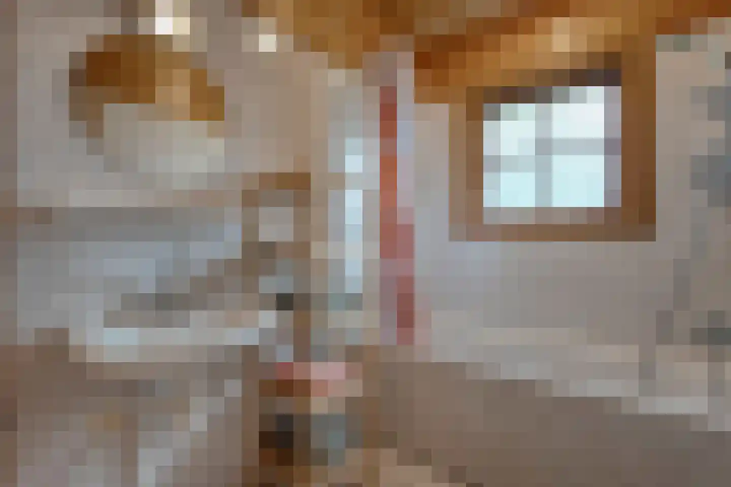 Boslaan 1 R174 Gramsbergen thumbnail 25