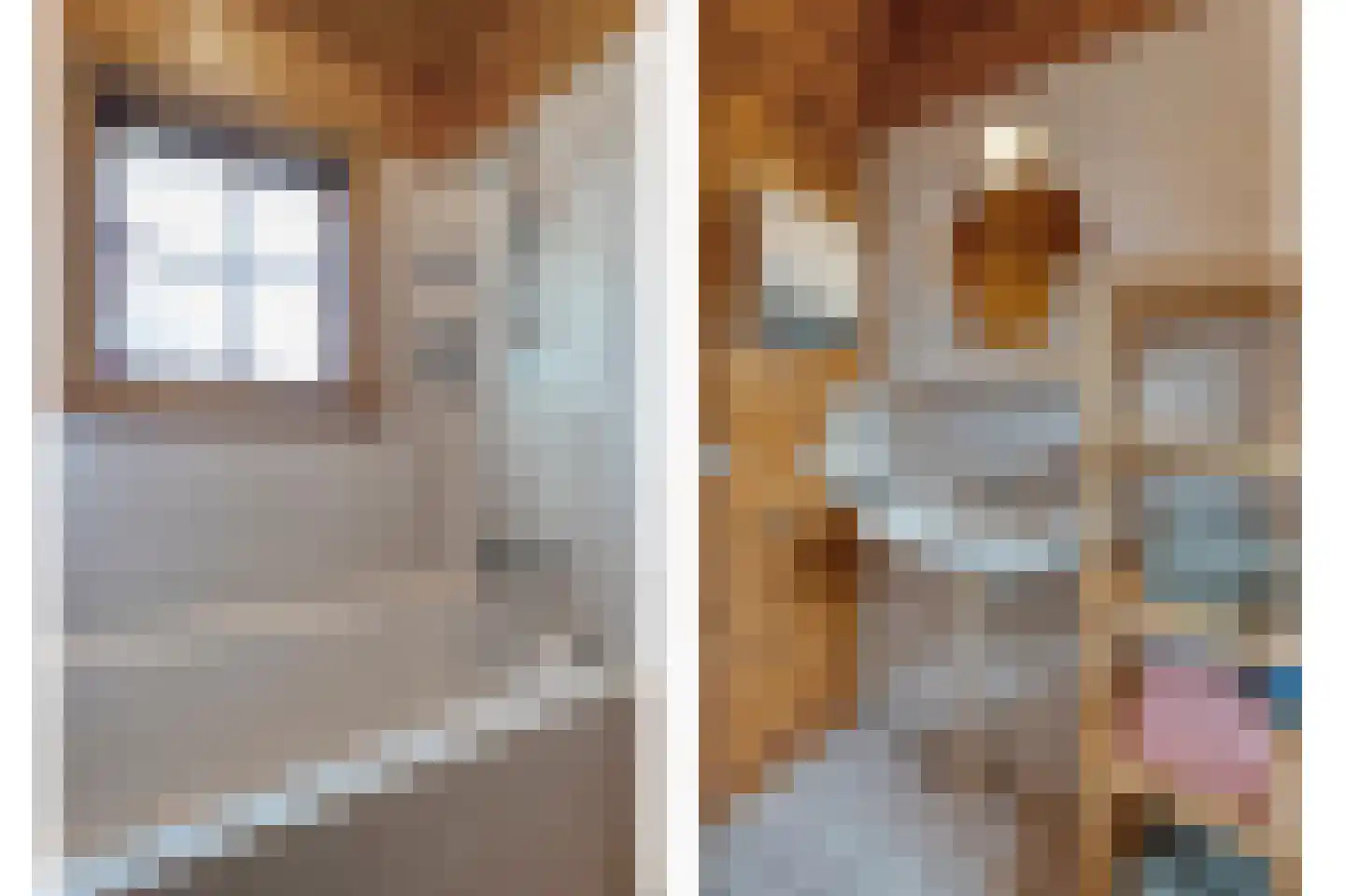 Boslaan 1 R174 Gramsbergen thumbnail 26