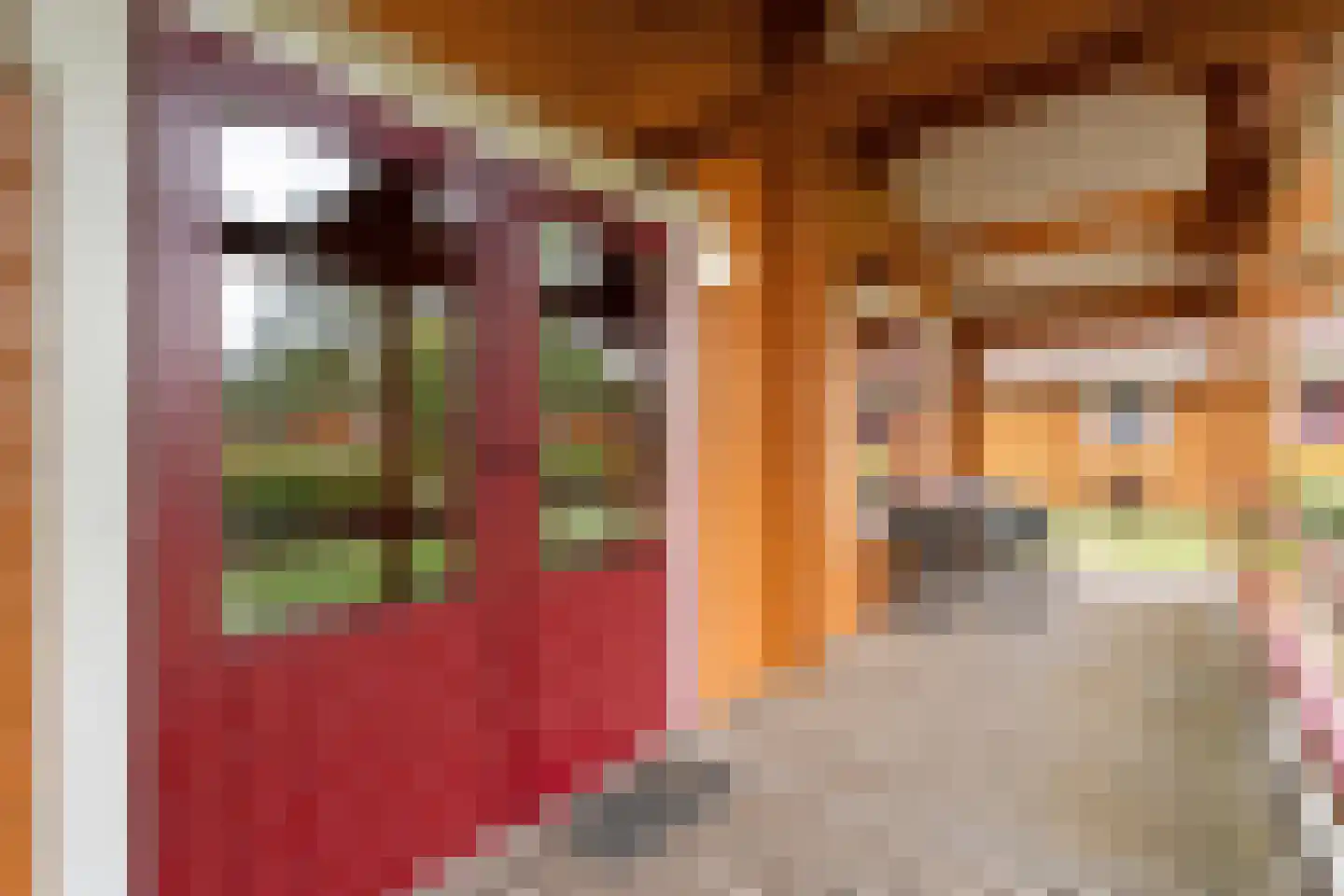 Boslaan 1 R174 Gramsbergen thumbnail 27